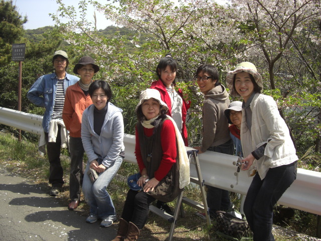 2011年の桜花びら調査隊