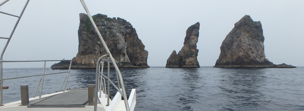 イノウエ商店/鹿児島・ルアー・ロックショア・オフショア