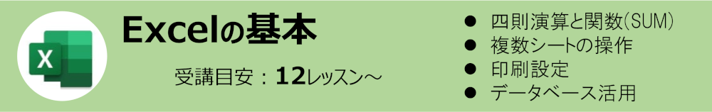 Excel(GNZ)̊{:uڈ 12`