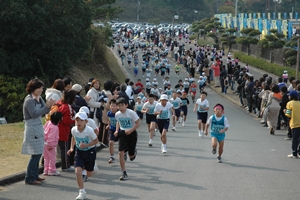 第17回まるごと伊集院フェスティバル&第29回いじゅういん梅